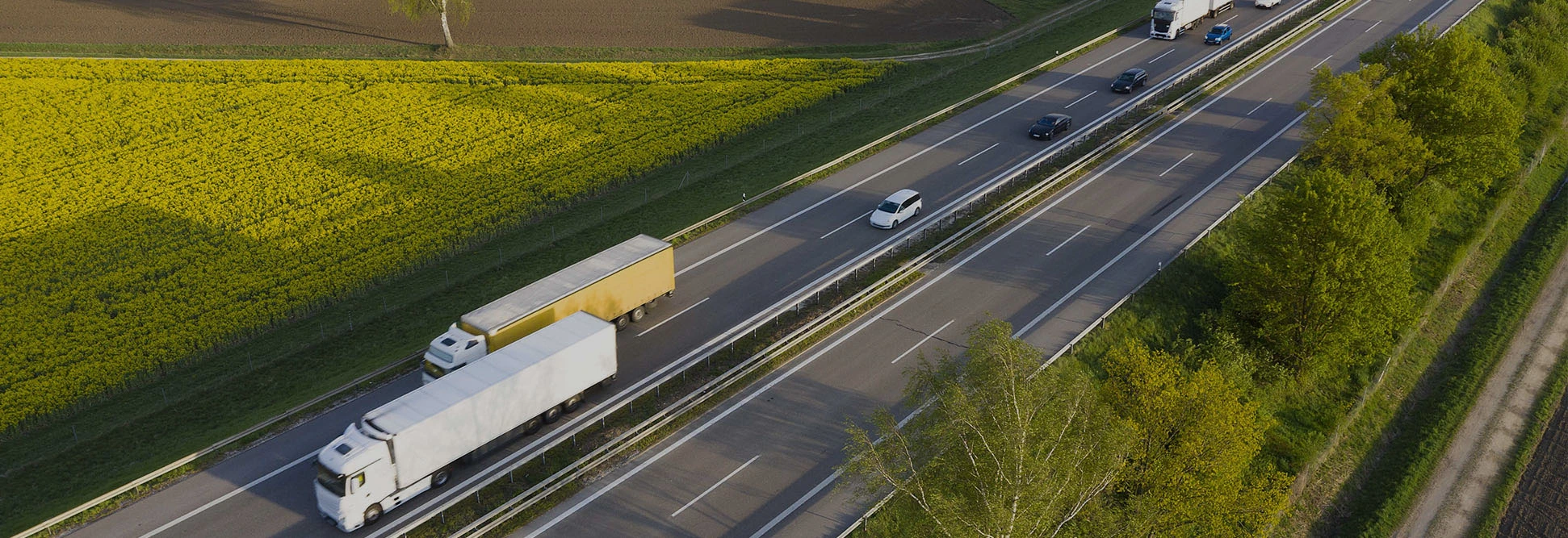 Advancing Your Business Journey
